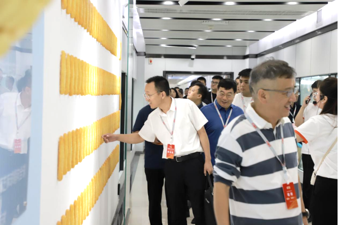 suncitygroup̫������(�й�)-�ٷ���վ